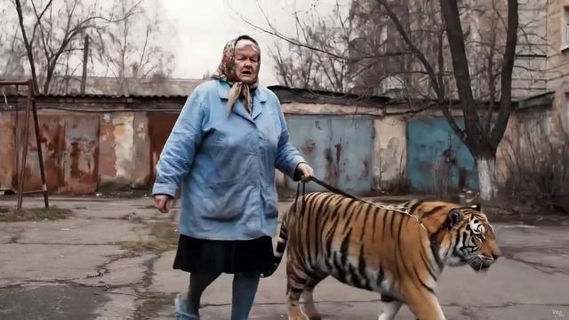 Барсик