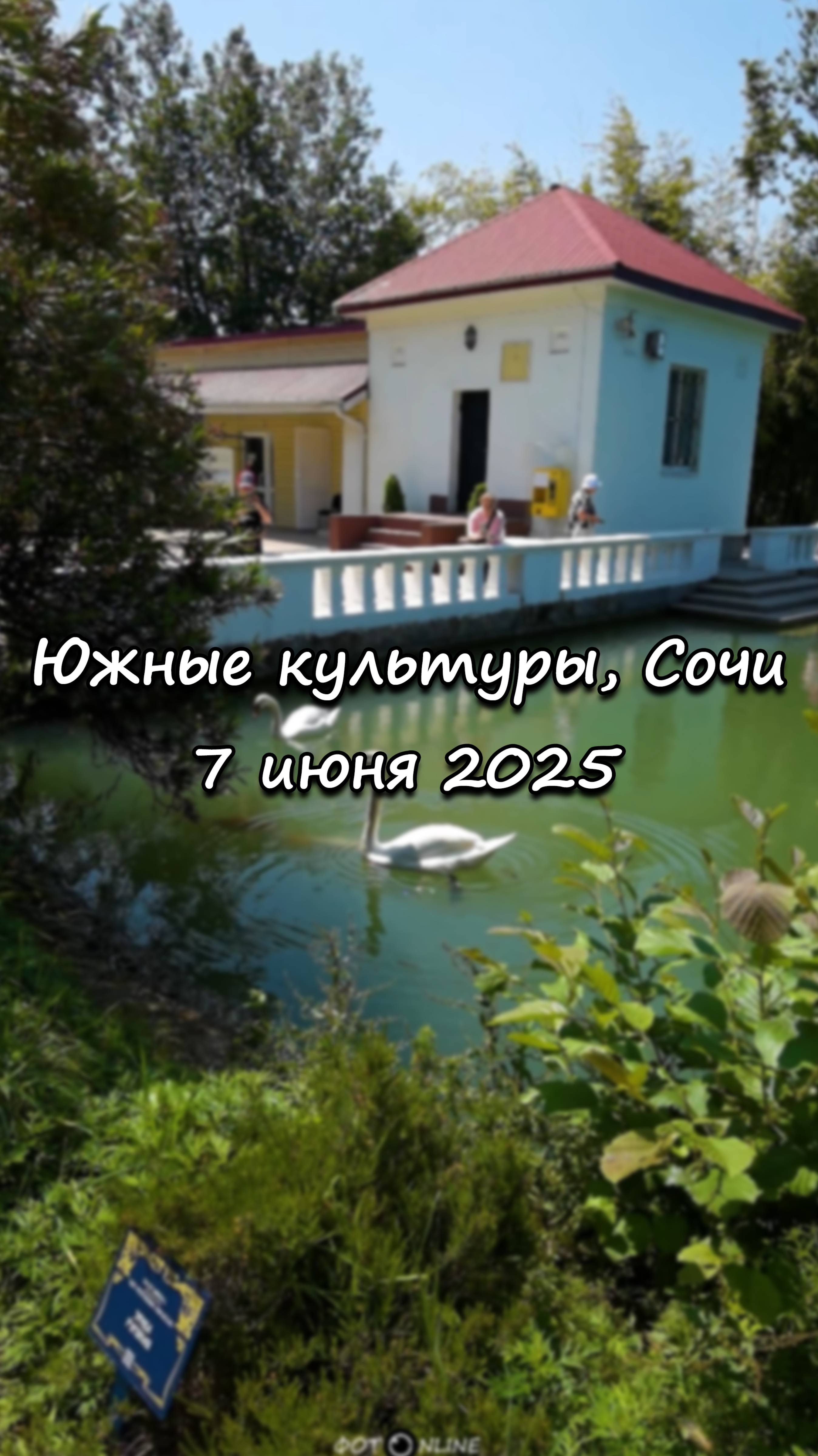Парк Южные культуры, Сириус, Сочи. 7 июня 2025