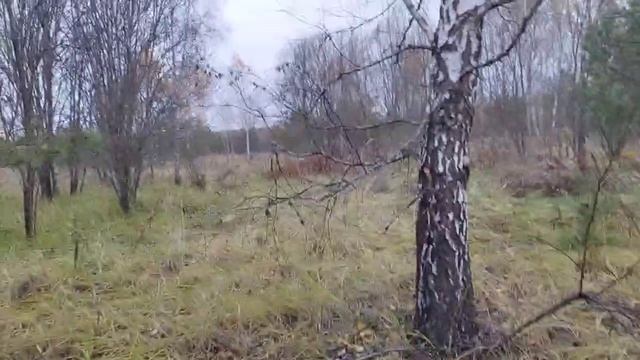 участок осень