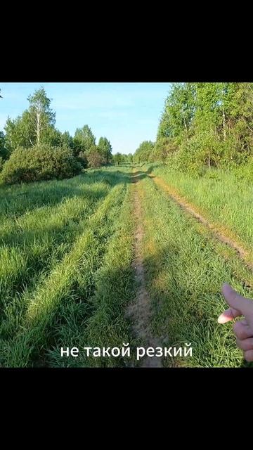 * Бегу вопреки.*