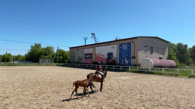 сыночек