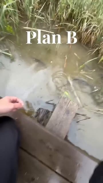 НЕ ПЛОХОЙ ПЛАН…