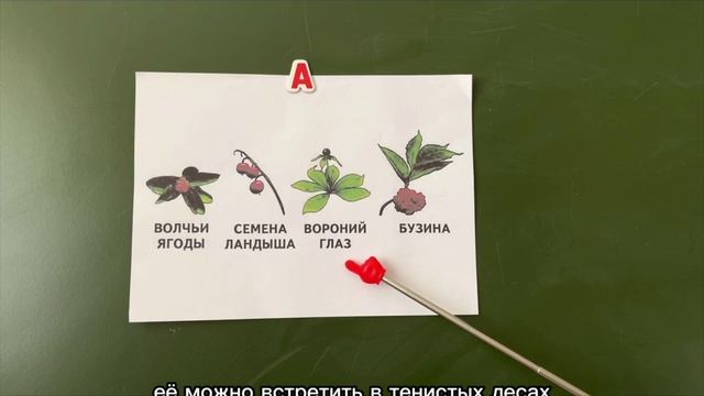урок окружающего мира