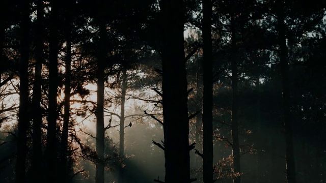 Я возвратился