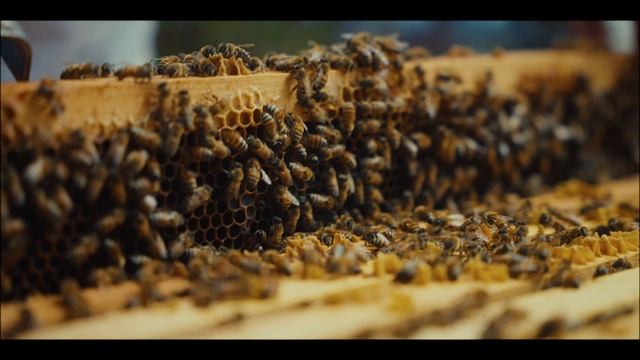 Cinematography Showreel 2025 - Piero Istrice