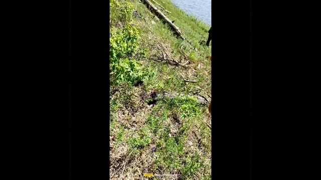 1000067257.mp4