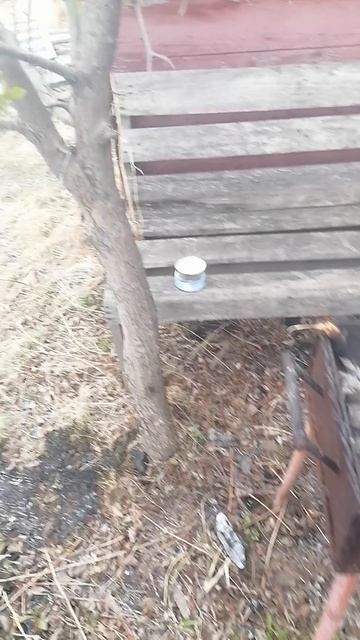 Карась в своём пруду