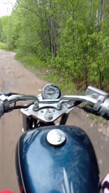Чуть медведь не выскочил , а угостить нечем , Honda steed