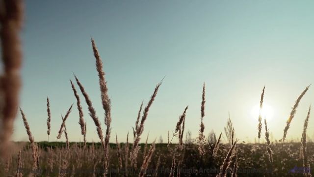 Зимняя сказка с волшебным звуком! - Road Trip -- Scott Holmes Music -- Rock Background Music