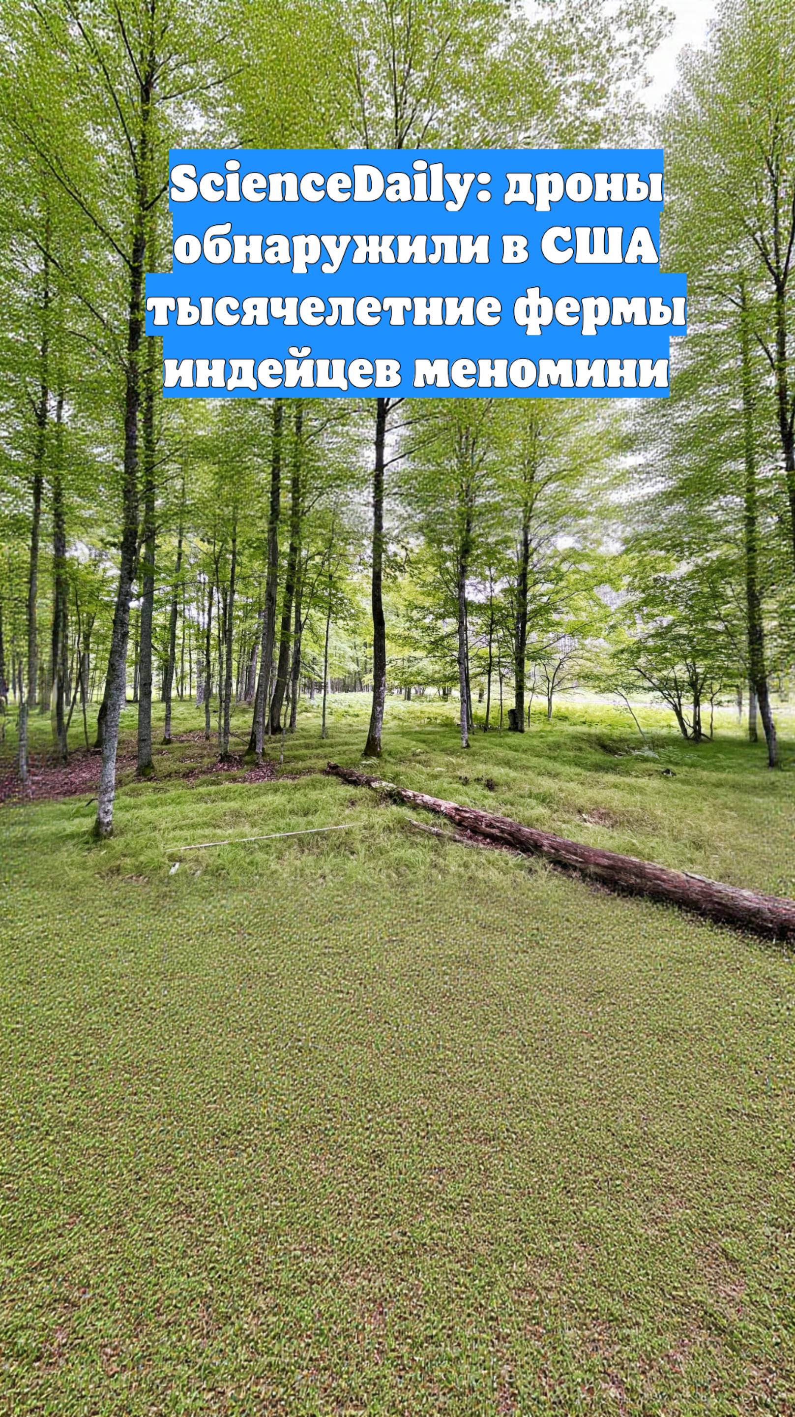 ScienceDaily: дроны обнаружили в США тысячелетние фермы индейцев меномини