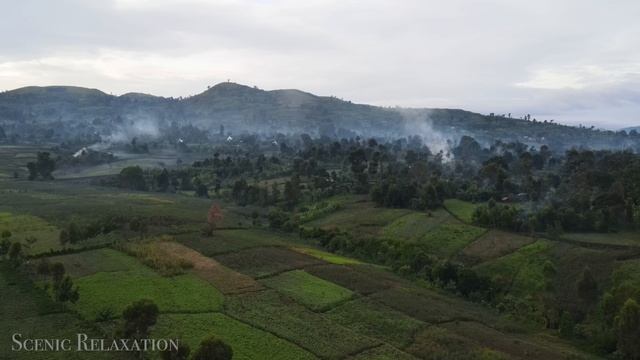 Конго 4K - Scenic Relaxation Film With African Music