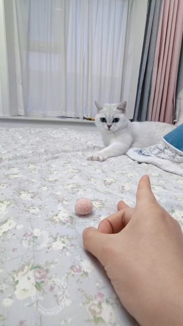 Юморок 8