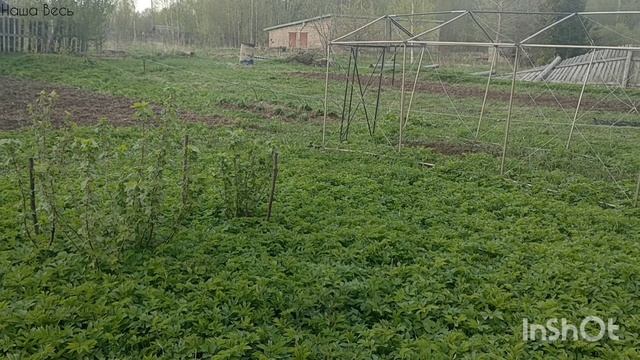 Майские праздники 2025. Тверская область.