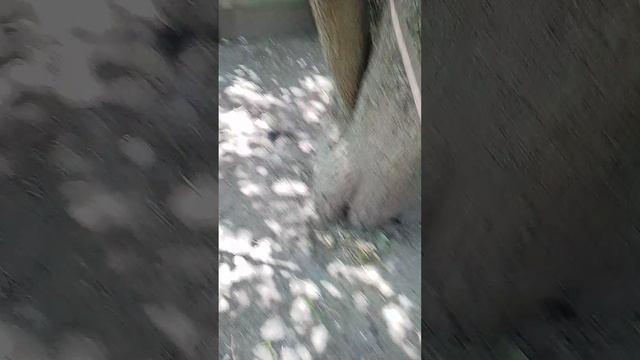 показываю свои инструменты 1 часть