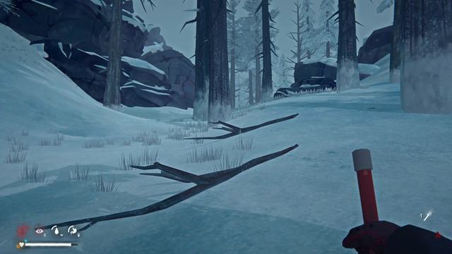 The Long Dark 54