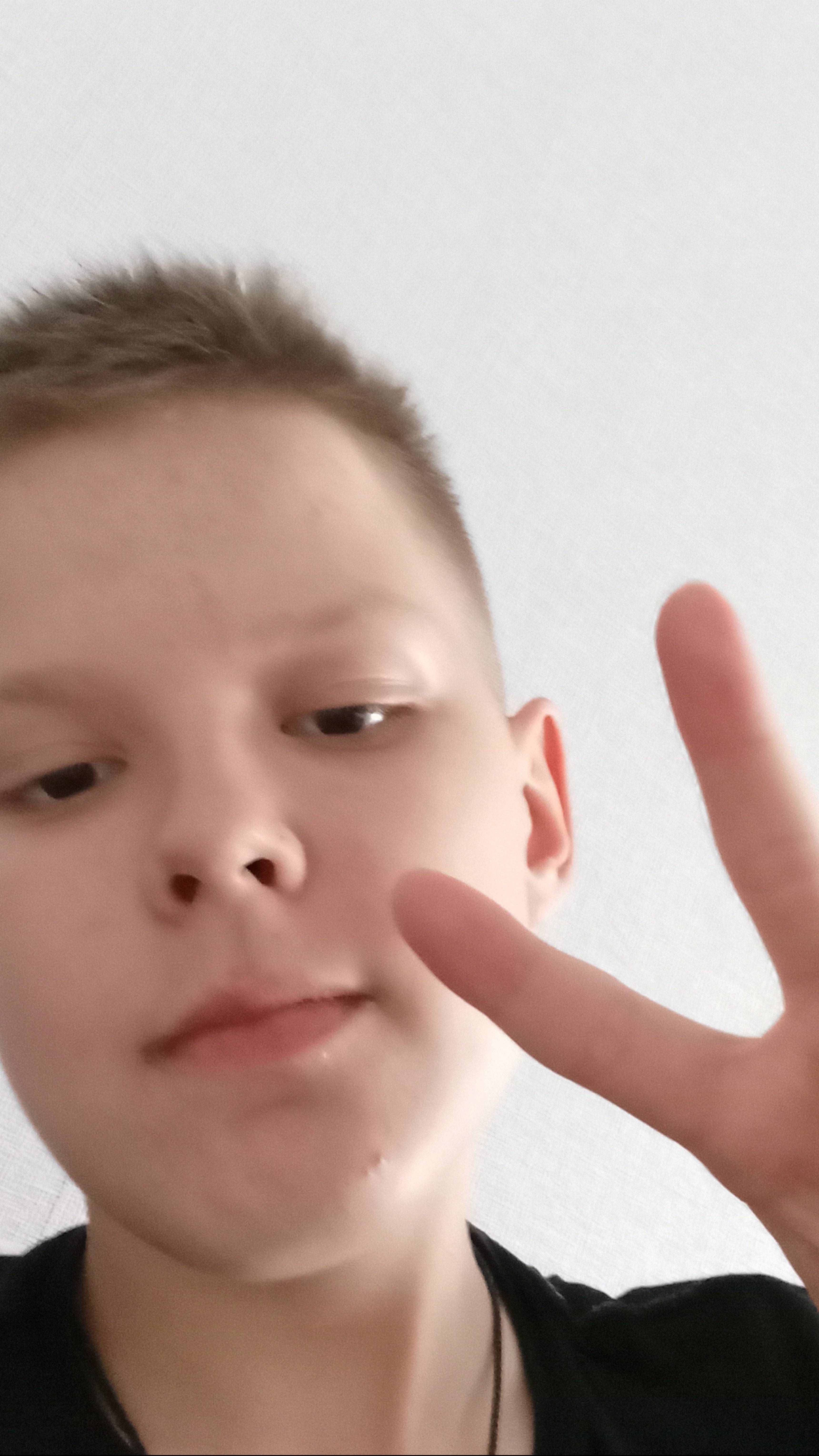 Чижик вернулся домой.