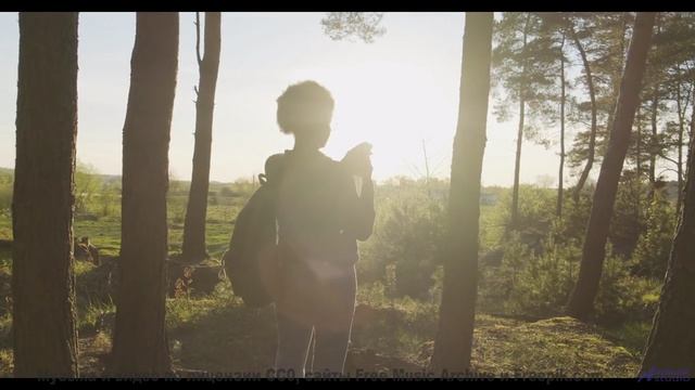 Почему ваш мозг не может обработать эти образы - Humming for you -- Ema Grace -- Unnamed album
