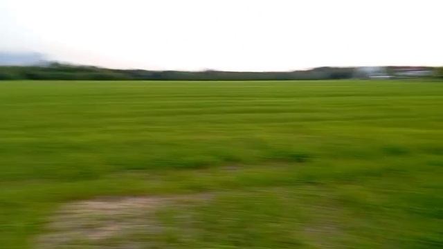 Коттеджный посёлок Царёво Лайф