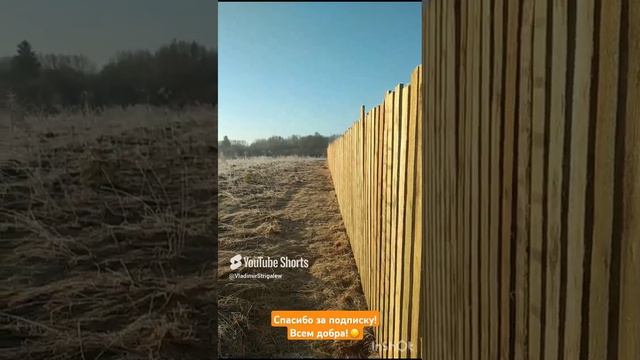 Красивое утро в лесной деревне!.mp4