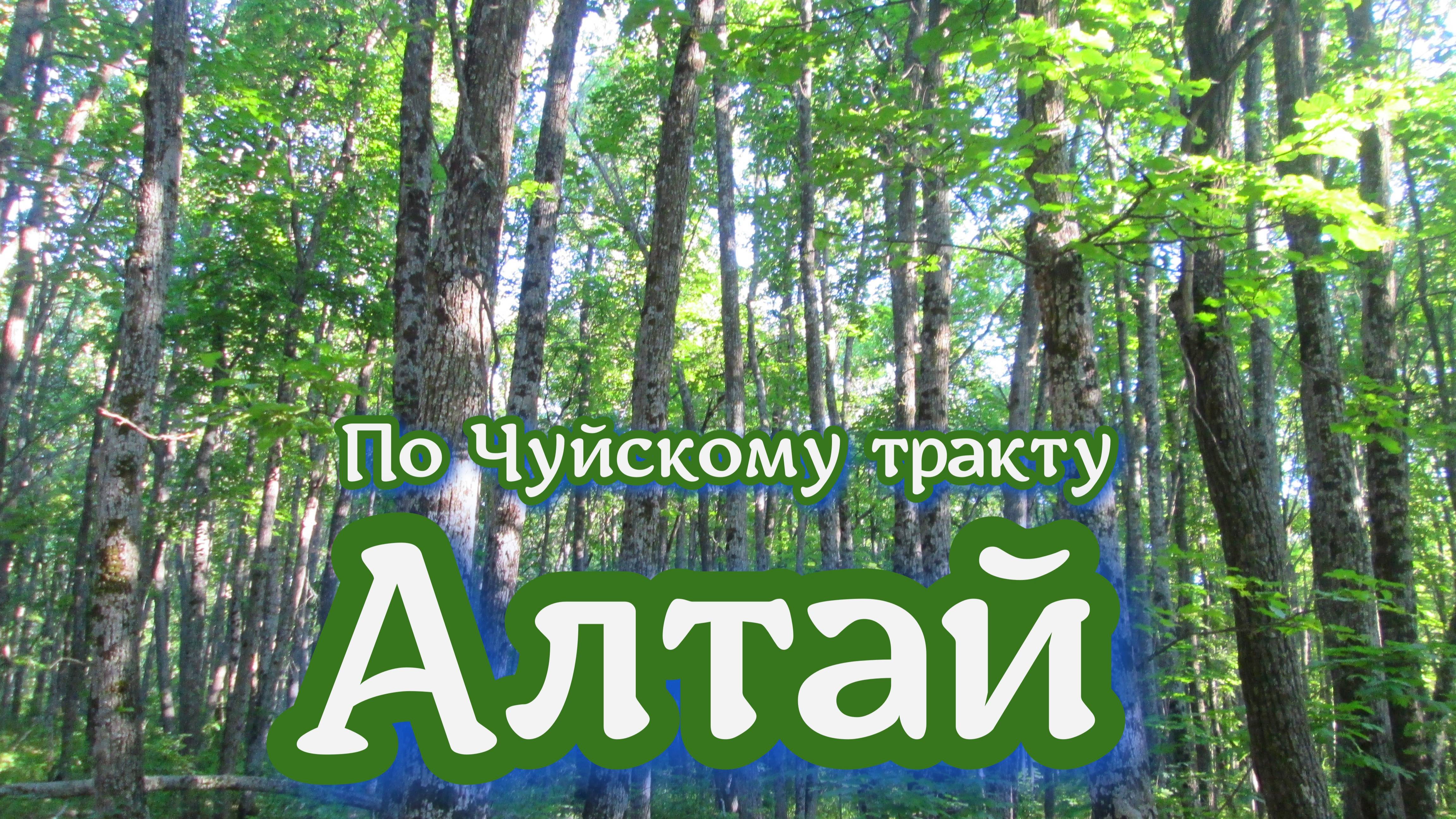 Алтай. По Чуйскому тракту
