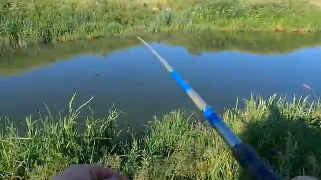 Рыбалка в своём ритме — без суеты и шума