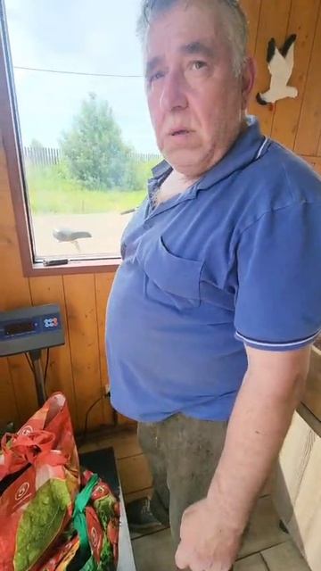 08-06-2025