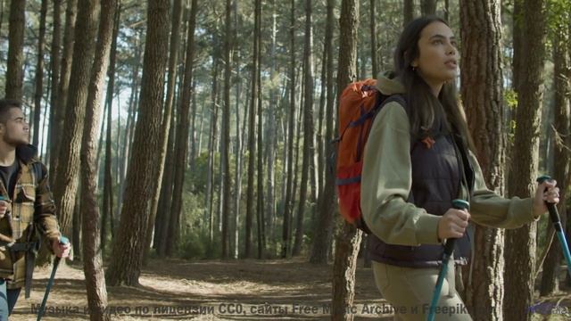 Музыка запускает путешествие вглубь себя - Admin -- A. A. Aalto -- The West