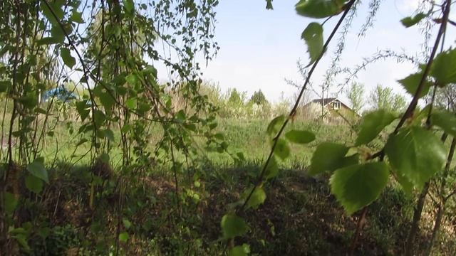 Ирина Самарина-Лабиринт   Мой Бог, поговори со мною  тихо...