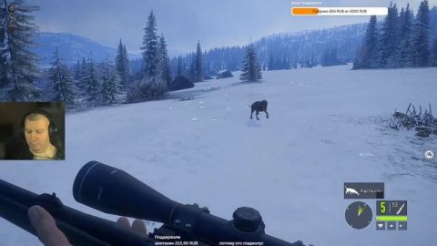 theHunter: Call of the Wild. Играю по сети со зрителями.#2