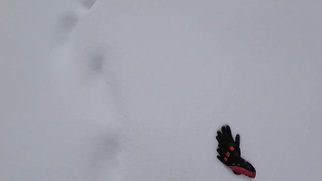 В конце апреля - 