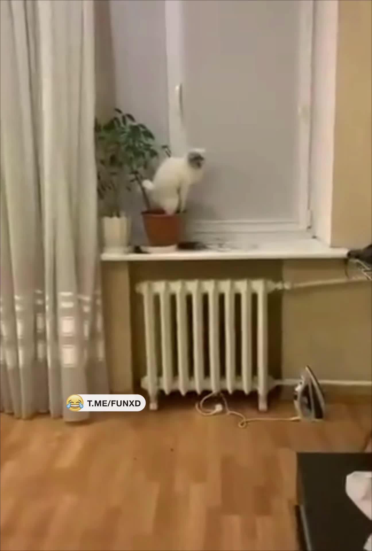 Засранец😅