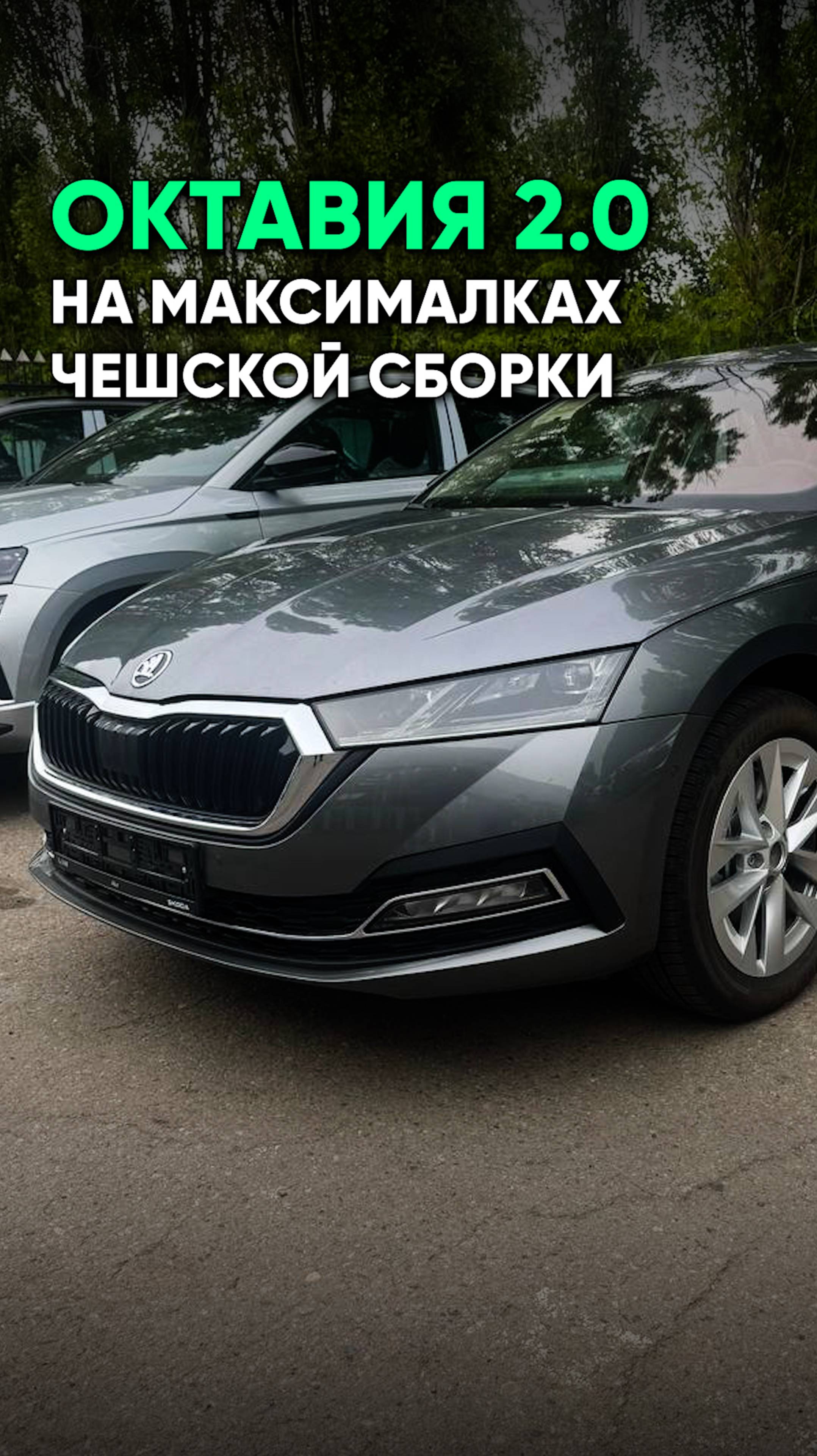 Двухлитровая Октавия Стайл из Казахстана. Переплатить за чешскую сборку или взять китайца?