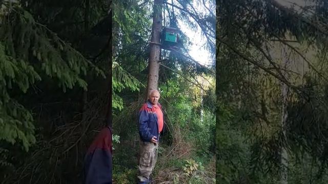 Важная деталь ловушки для пчёл