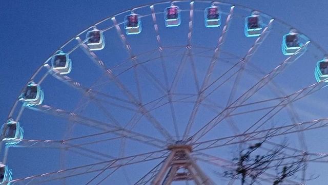 video_2025-06-08_08-19-16