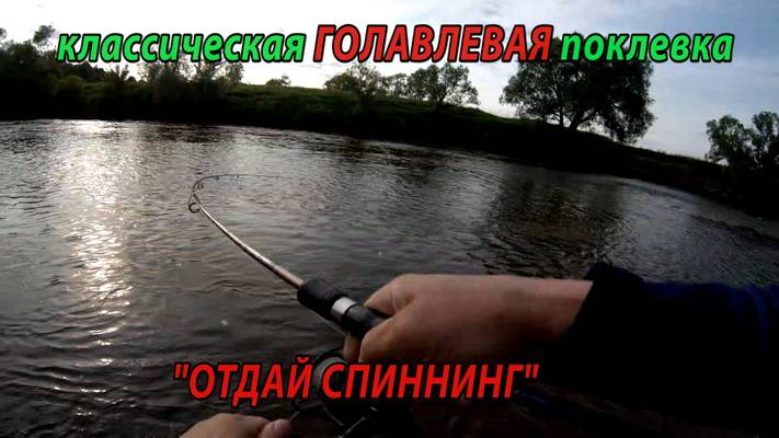 Голавль всего один, но зато какая поклевка. Ловля голавля на спиннинг.