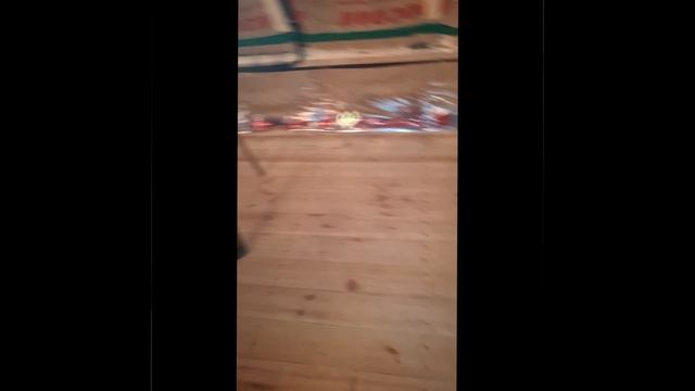 1000025837.mp4 (Собака следит за планированием приточно-вытяжной вентиляции в доме А-фрейм)