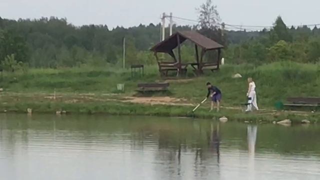 поимка сома на поплавок