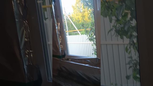 1000025780.mp4 (Собака следит за планированием приточно-вытяжной вентиляции в доме А-фрейм)