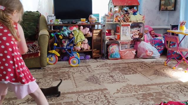 котенок соня
