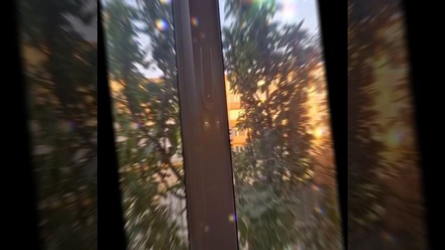 1000025839.mp4 (Собака следит за планированием приточно-вытяжной вентиляции в доме А-фрейм)