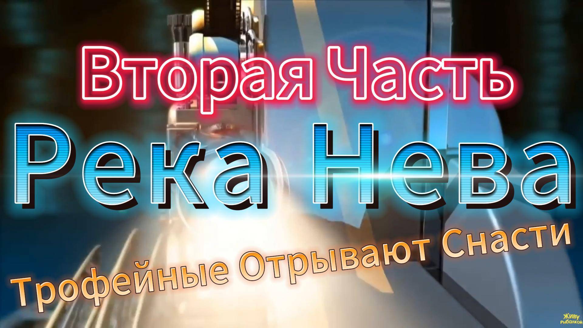 ТРОФЕЙНЫЕ РВУТ СНАСТИ ГОРОД СПБ РЕКА НЕВА РЫБАЛКА НА ОКУНЯ ДРОШОТ ОТВОДНОЙ ДОНКА