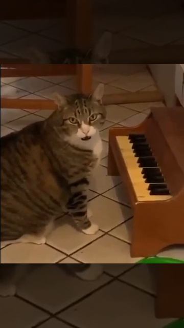 Хиханьки 13