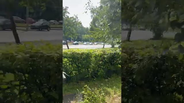 Еще один предприниматель и расфокус, в итоге потеря клиентов.