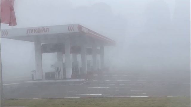 Едем домой в Москву