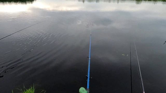 Дома, озёрная рыбалка на карася.