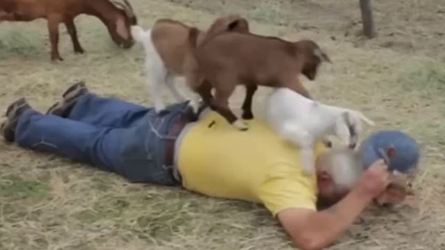 Мануальная терапия 😄