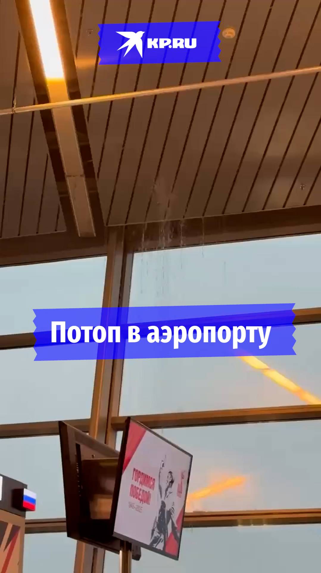 В московском аэропорту Внуково потоп из-за ливней