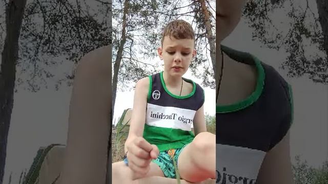 Тест на знание Пушкина # Стрим 85