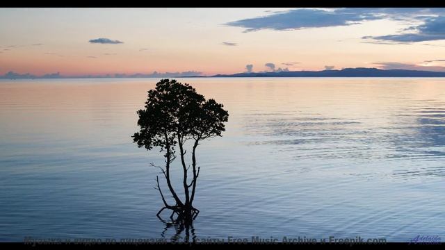 Ты НЕ ПОВЕРИШЬ, что это не CGI! - Positive and Fun -- Scott Holmes Music -- Happy Background Music