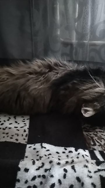 VID_20250608_134205.mp4